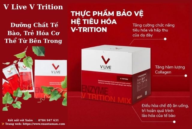 V Live V Trition – Dưỡng Chất Tế Bào, Trẻ Hóa Cơ Thể Từ Bên Trong
